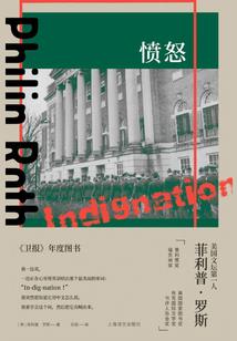 历史老师会武功