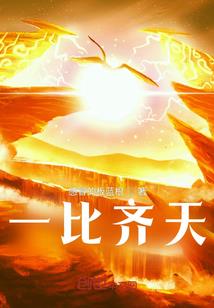 逆天太子妃之追妻路漫漫