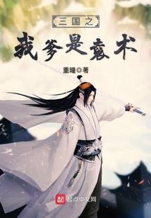 林羽与弥留之城