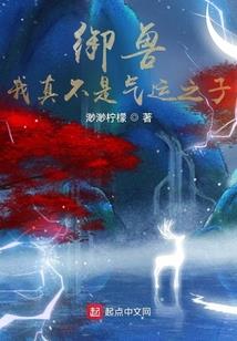 燕子白玉甲