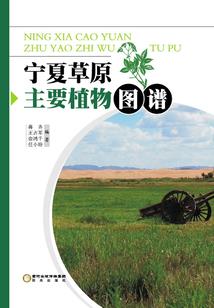 妃传