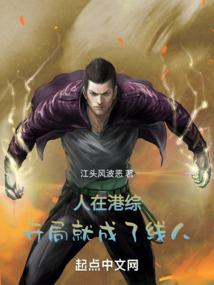 锦衣王公