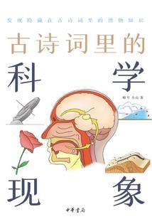 天宰之路