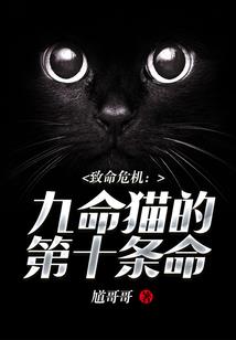 小出纳和大总裁