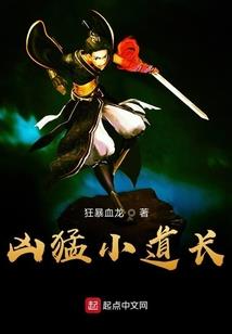 统御之界