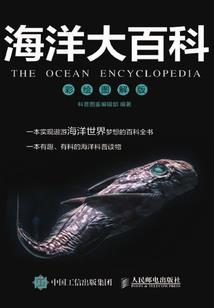 重生崛起之路