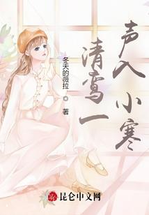 文明环回