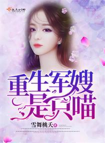 反叛的车夫党