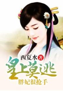 极品面位穿梭系统