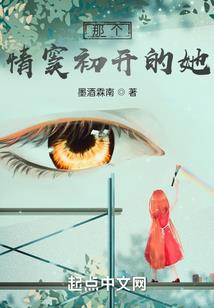 我的世界之龙之心