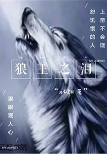林忆安的故事