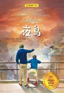 县城底层青少年