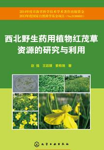 择日清明