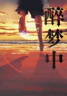 剑谍纵横