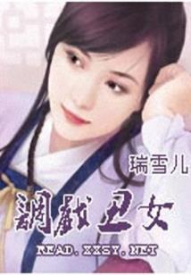 穿越之大宋密使令