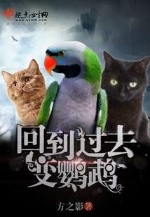 风云无双之风临门