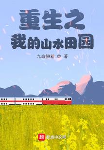 神偷特工
