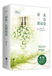 飘摇仙羽传