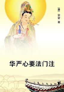 天才少女陈小鬏