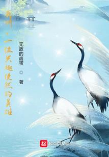 战狼皇妃