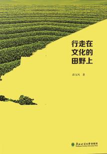 偷国
