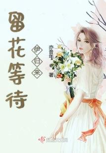灵魂游戏：恋上一个流氓