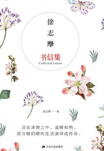双龙战纪