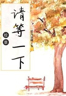 斗天情殇结局篇