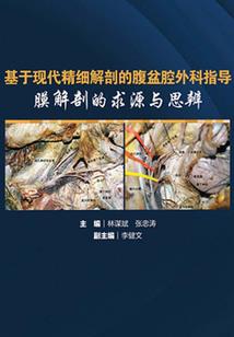暗影分魂