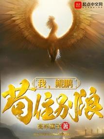 消失的魔笛