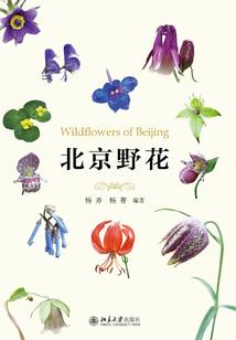 尘慯