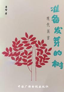 名流家族之爱情慢半拍