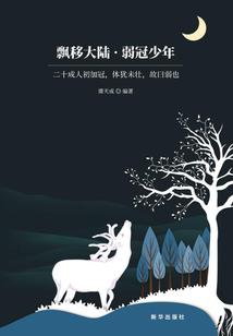 这个英雄不正经
