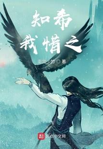 男神我不爱你