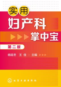 宠物小精灵之大木辉