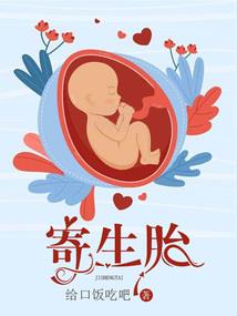 黑羽之翼