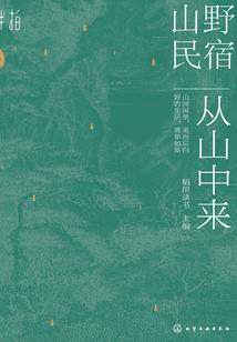 风一般的火法师
