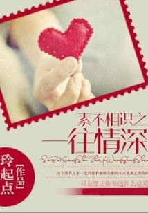 少将站住,正式逮捕你