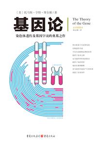追爱：赖你一辈子