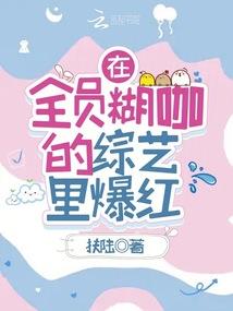 我在电视剧的大冒险