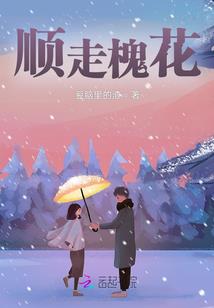 最后的紫电