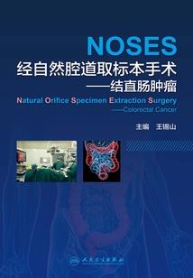 我和你的春秋岁月