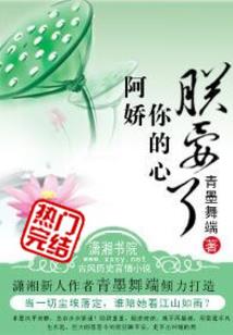 精灵之传说训练师