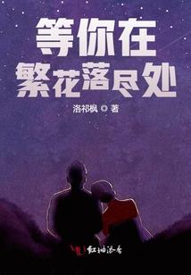 夏夜有星宸