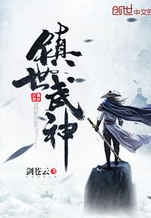 系统王皇