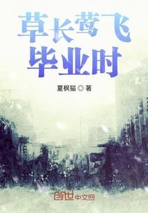 暗魅影碟