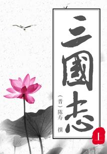 校花校草爱情攻坚战