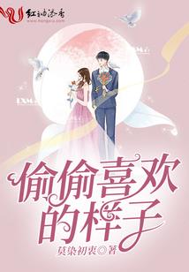 我真是导演
