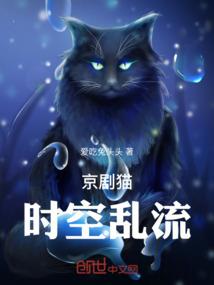 武道无天