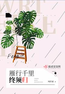 在陆地等你